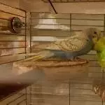Abendliches Schmusen