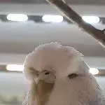 BelleBe unsere Ruhige