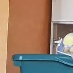 Archimedes räumt auf