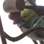 Kuschelplatz