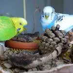 Achim und Juri in der Wühlkiste 1