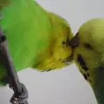 Liebe kann so schön sein.