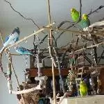 Alle Mann an Bord