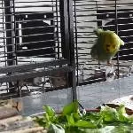 Der Sprung ins kühle nass