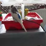 Achim und Juri beim baden