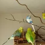 Erstes Gruppenbild mit Amy