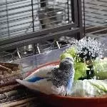 Zusammenstoß in der Wellidusche !