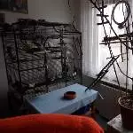 Das Zuhause der Wellibande.