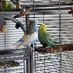 Bad im Möhrengrün 2