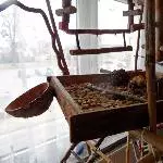 Die neue Wühlkiste im Wellibaum 1