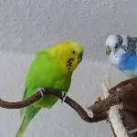Achim und Juri beim quasseln 1