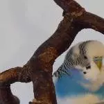Einer von Juris Lieblingsplätzen 1