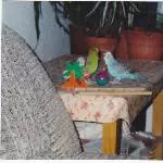Erinnerung 2