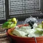 Bademeister Achim kontrolliert das Wasser:-) 