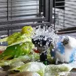 Baden macht Spaß 3