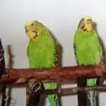 Vergangenheit und Gegenwart .