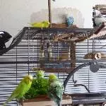 Gruppenfoto mit Petersilie