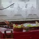 Mal wieder Picknick im Freien
