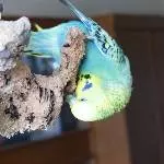 Roxi wieder in ihrem Element