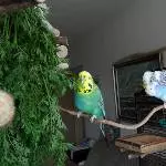 Am Möhrengrün 1
