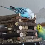 Die neue Heuraufe