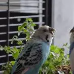 Amy und Juri haben eine Meinungsverschiedenheit