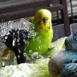 Achim und Amy baden gemeinsam