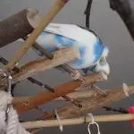 Nachwehen.