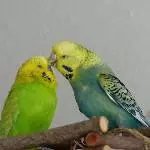 Achim und Roxi vor einem Ausflug