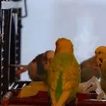 Frühstück an der Gemüsebar