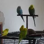 Erstes Gruppenfoto von alle Sechs