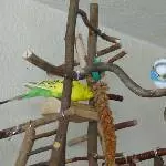 Der neue Spielplatz 1
