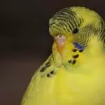 Die kleine Rita