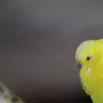 Auf die Plätze