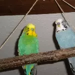 Walter und Ernst