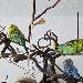Suchbild Wieviele Wellis siehst du?