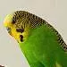 Ramiro