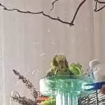 Baden das es nur so spritzt