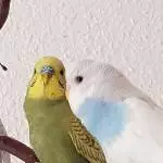 Unsere beiden Neuzugänge