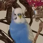 leuchtendes Blau