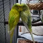 Buddies for a lifetime