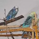 Charly und Winni