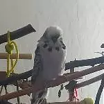 Unser neues Riesenbaby