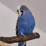 Unser Neuzugang Charly