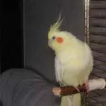 Meine Petra