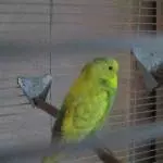 Hallo Ich bin Micki