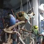 Wir freuen uns über das neue Insektenschutzfenster