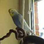 Ich bin Kaily