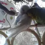 Rudi und Lilly