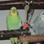 Karin und Rolf halten Händchen bzw. Füßchen